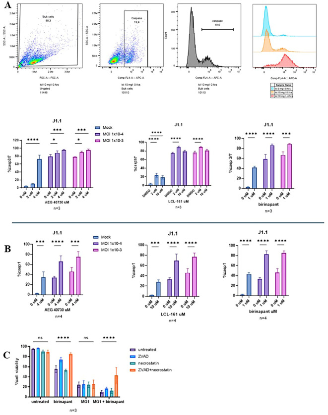 Figure 2