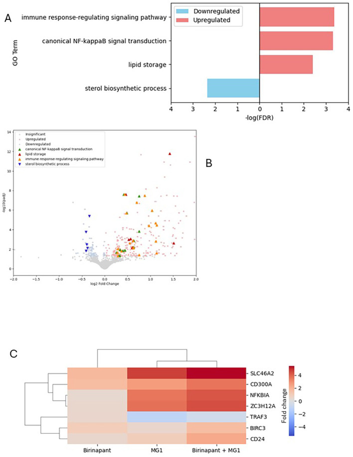 Figure 4