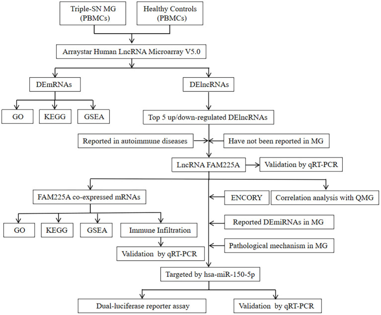 Figure 1