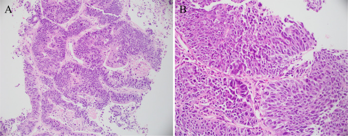 Figure 2