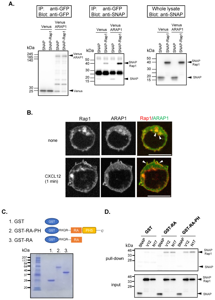 Figure 6