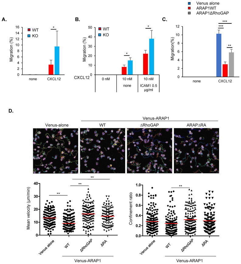 Figure 7