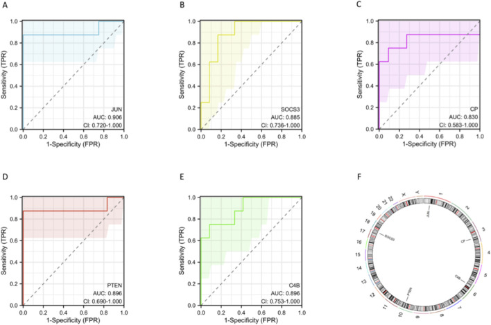 FIGURE 4