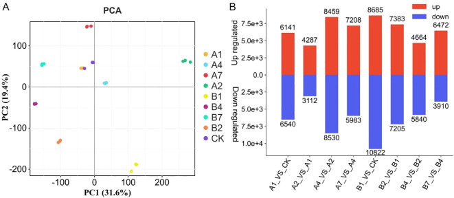 Figure 2
