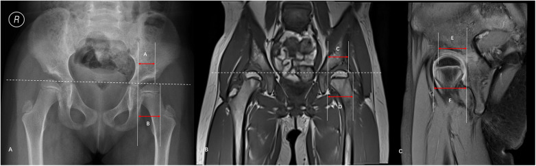Figure 2