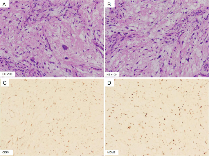 Figure 3