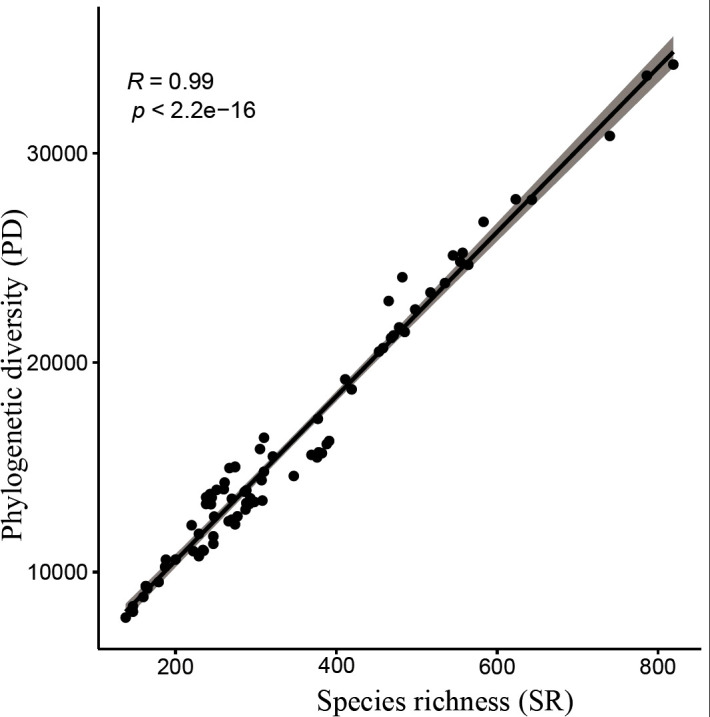 Figure 5