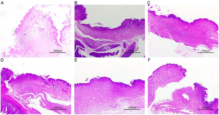 Figure 6