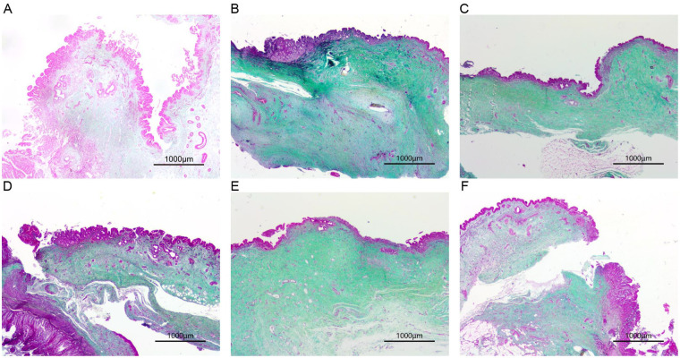 Figure 7