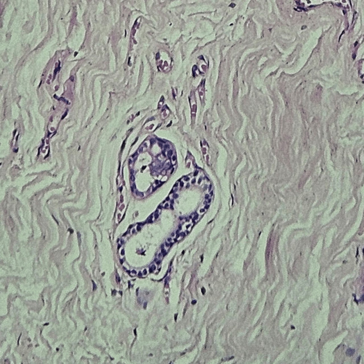 Figure 8