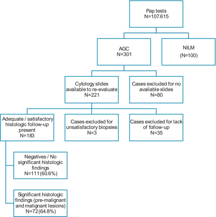 FIGURE 1
