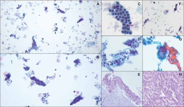 FIGURE 2