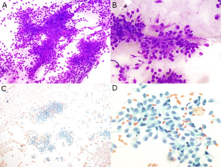 FIGURE 1