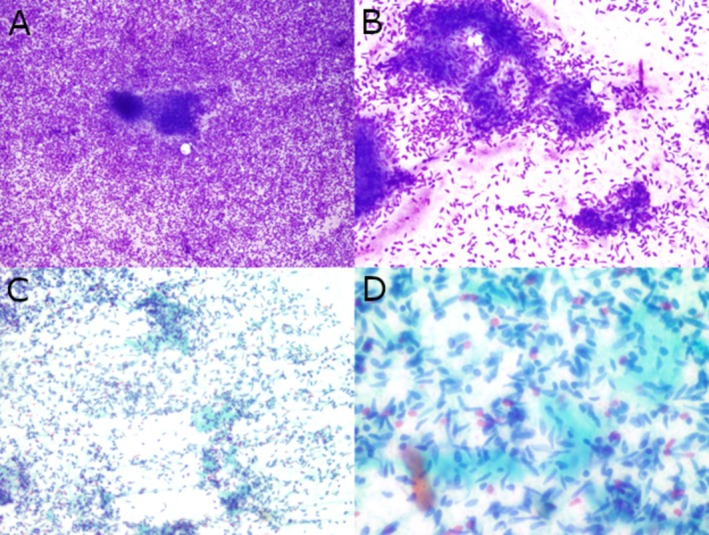 FIGURE 3