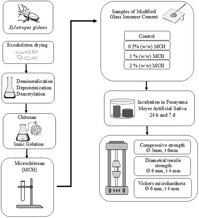 Figure 2