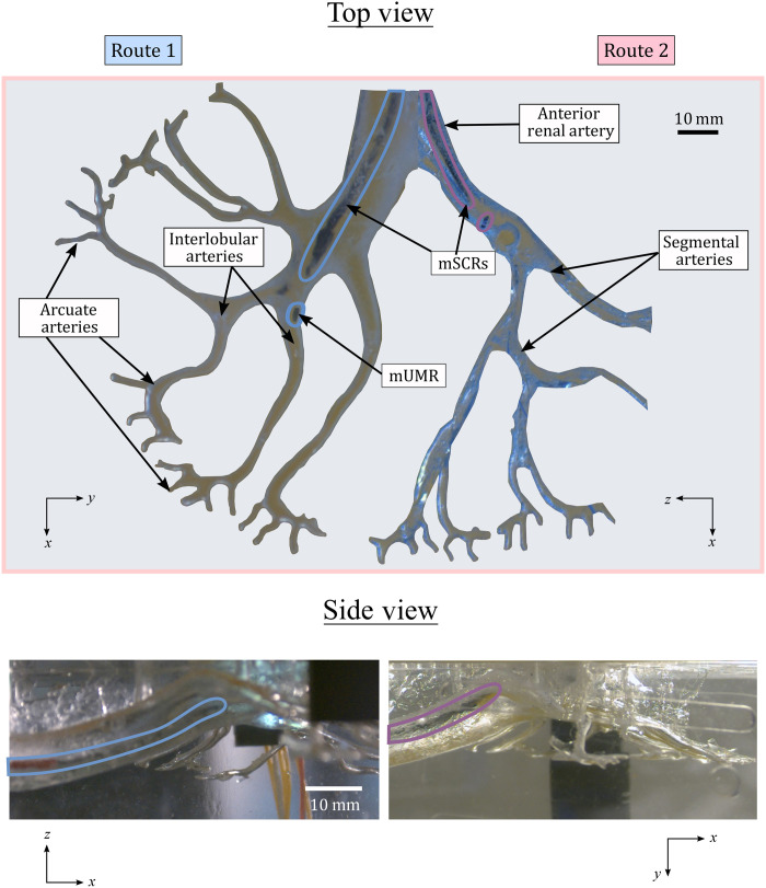 Fig. 3