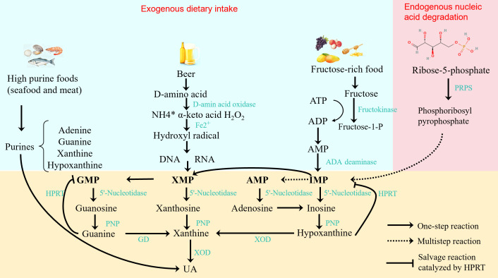 Figure 2
