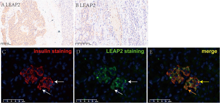 Figure 3