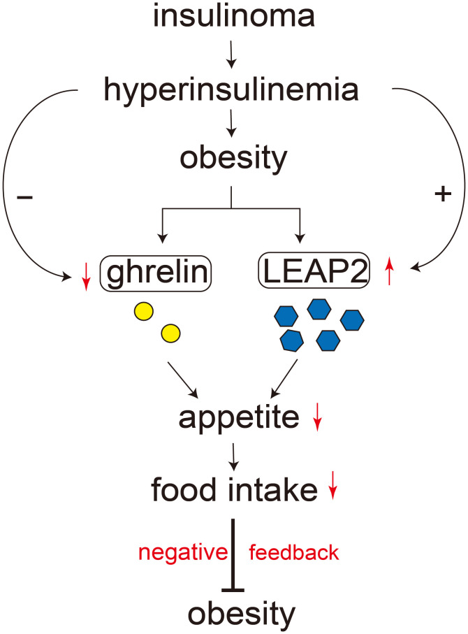 Figure 4