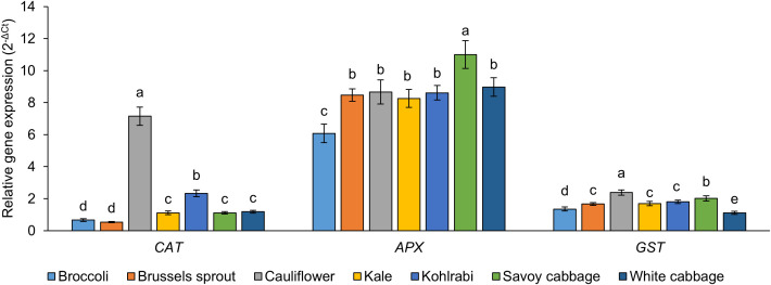 Figure 4