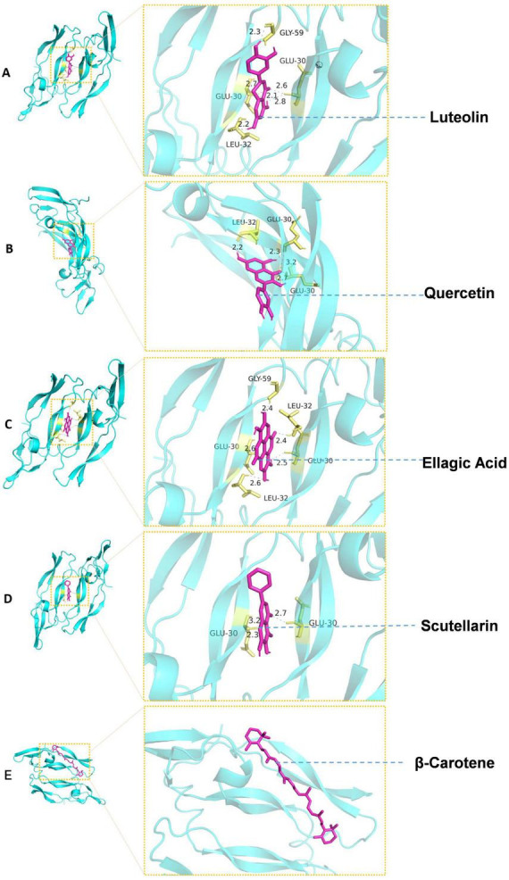 FIGURE 3
