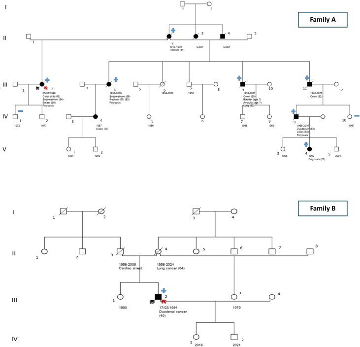 Figure 1