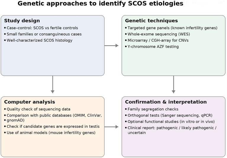 Figure 4