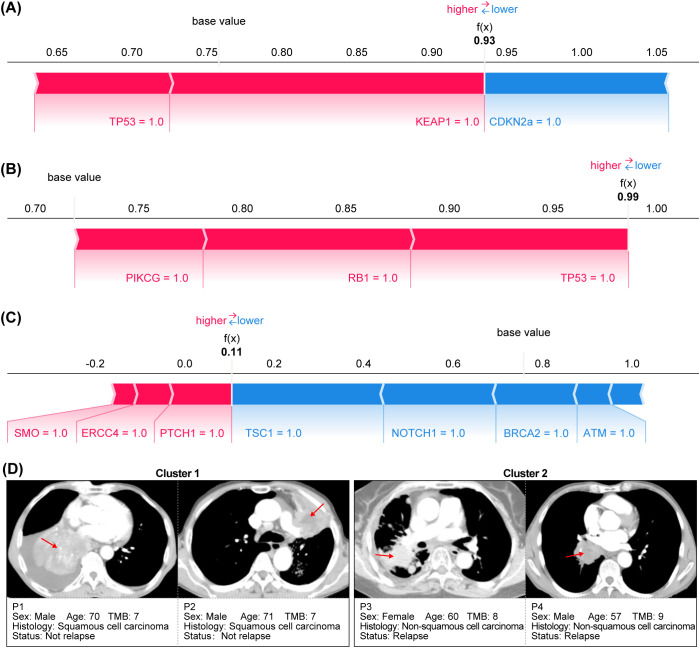 Figure 6