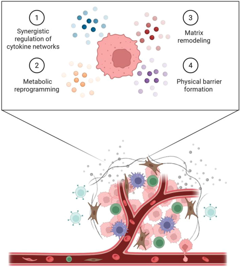 Figure 2