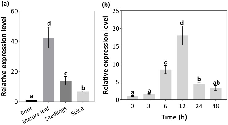 Figure 2