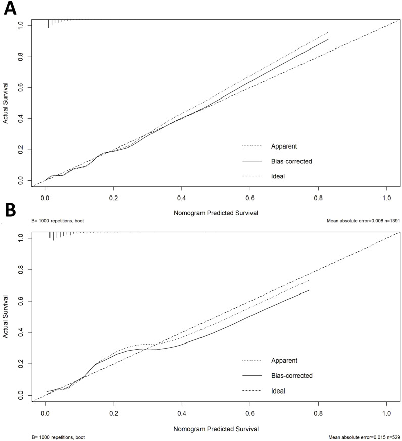 Figure 6