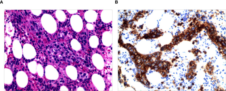 Figure 1