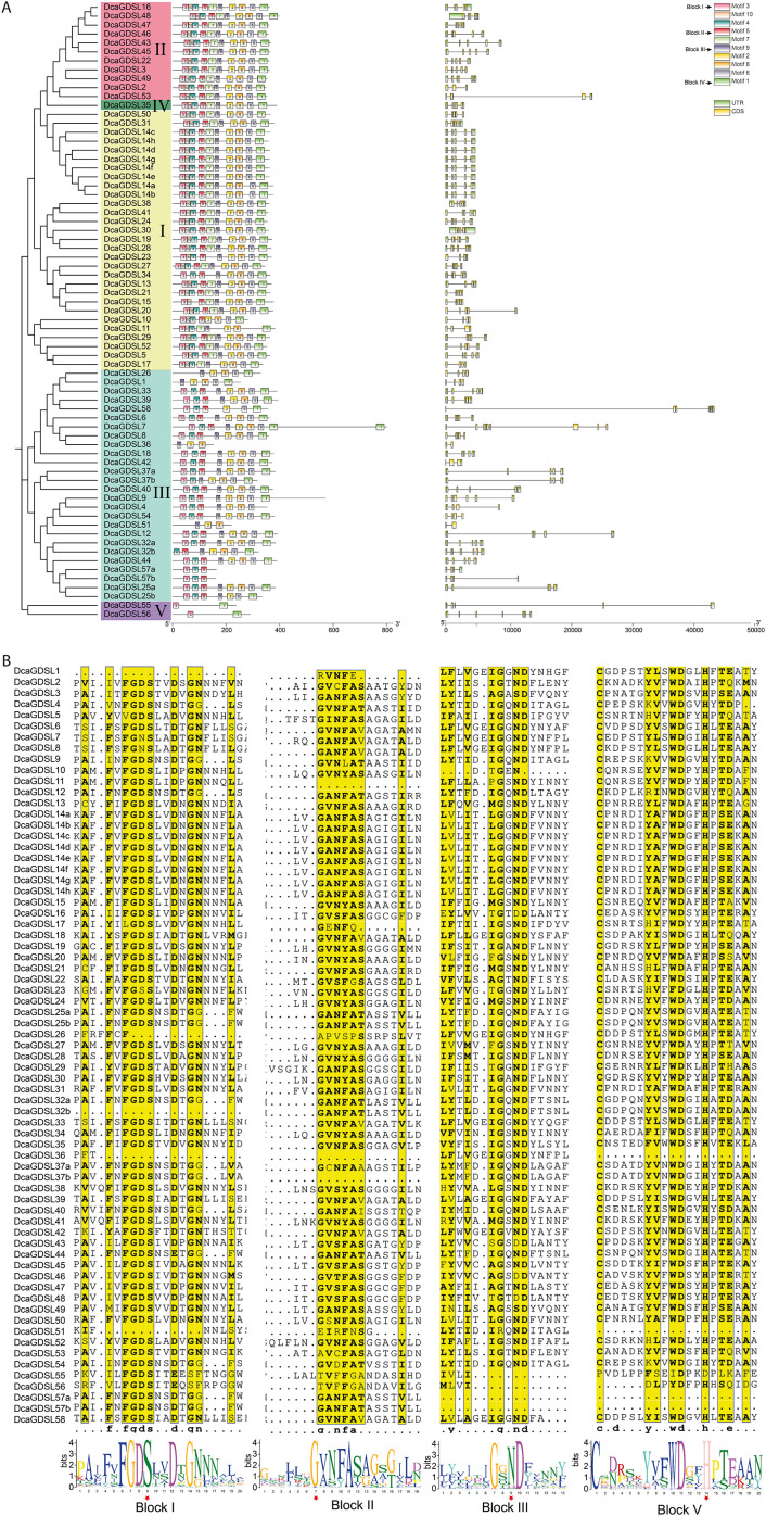 Figure 3