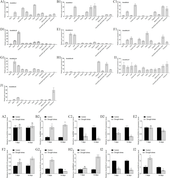 Figure 5