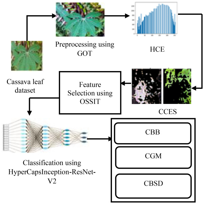 Figure 1