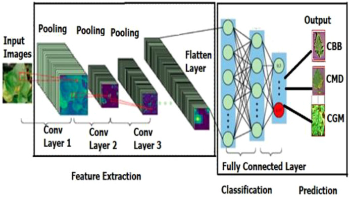 Figure 6
