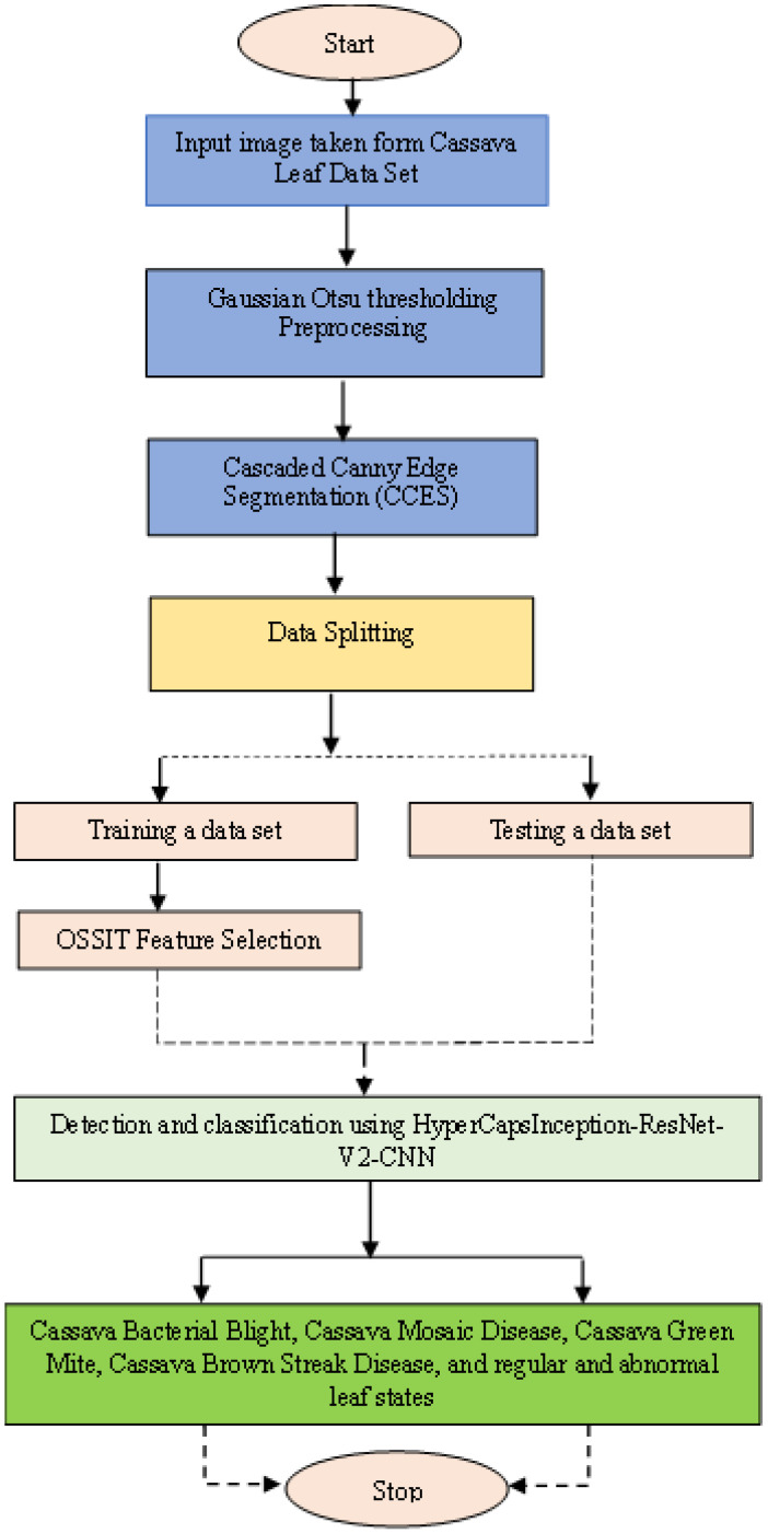 Figure 7
