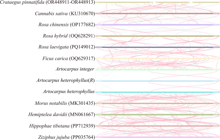 Figure 6