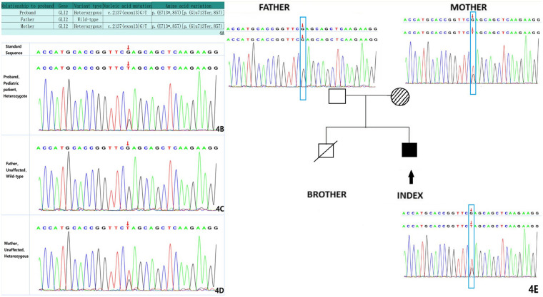 Figure 4