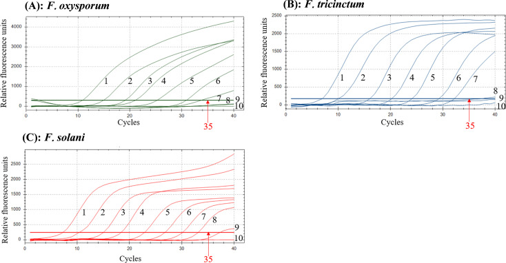 Figure 4