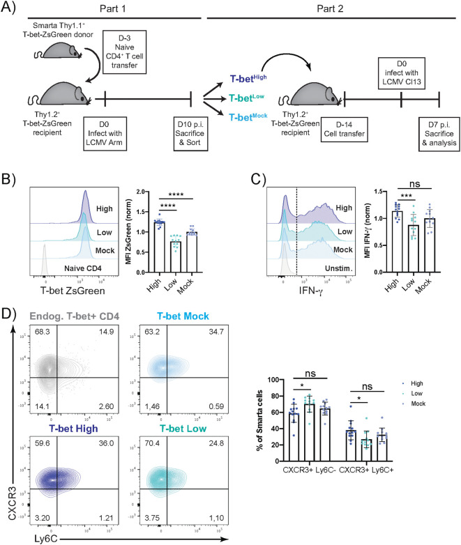 Figure 3