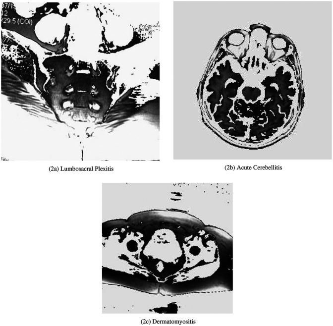 Figure 2