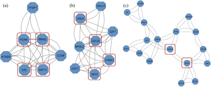 FIGURE 4