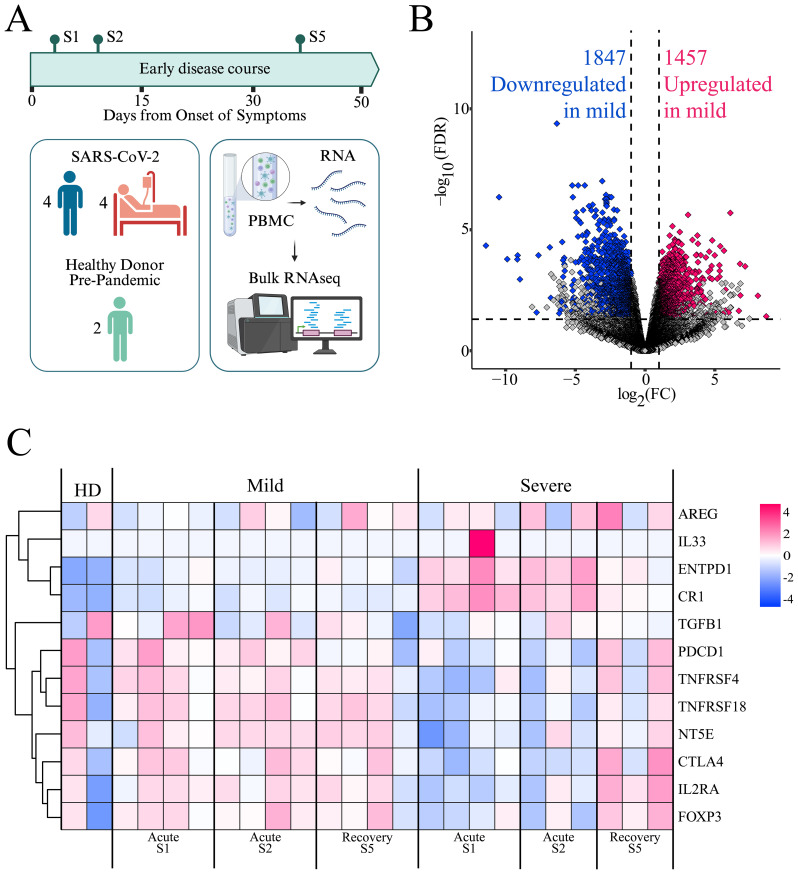 Figure 2