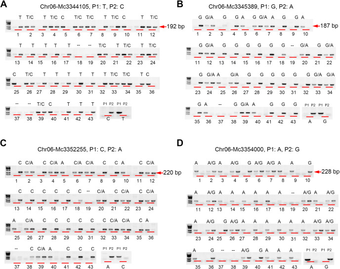 Figure 3
