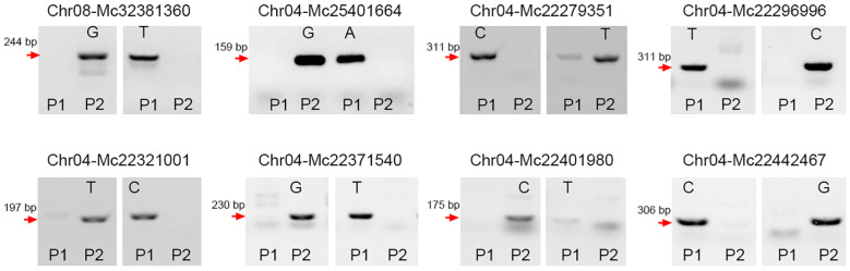 Figure 4