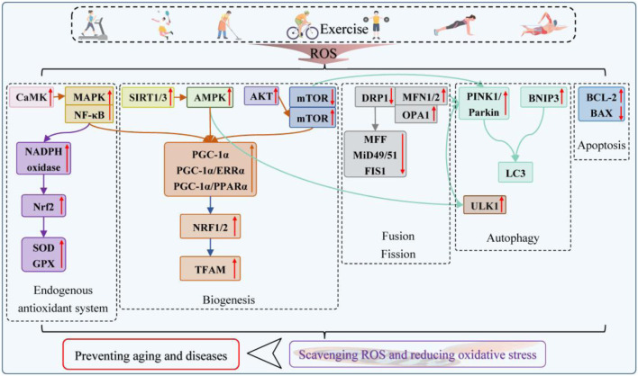 FIGURE 6