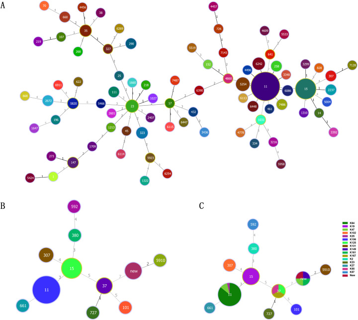 Figure 3