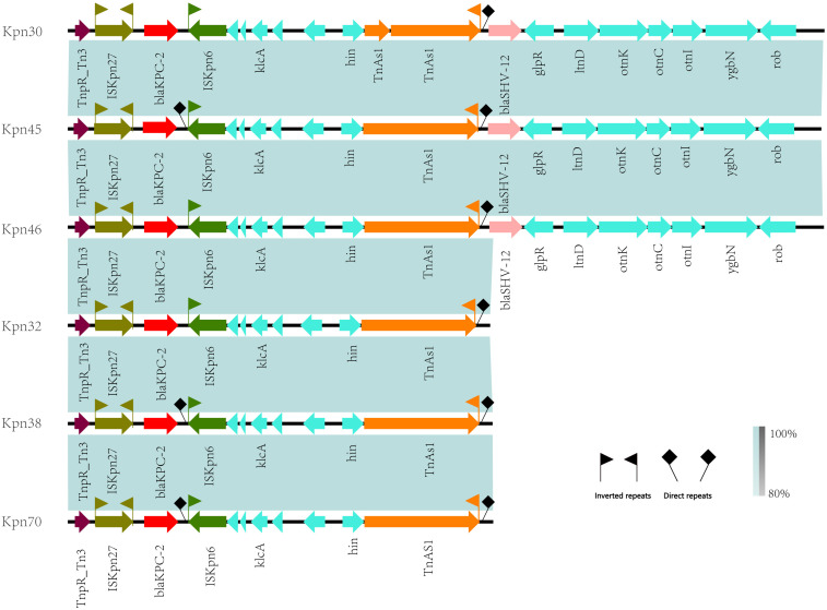 Figure 12