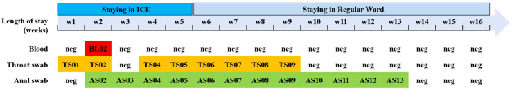 Figure 1